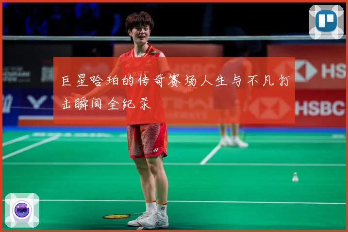 巨星哈珀的传奇赛场人生与不凡打击瞬间全纪录