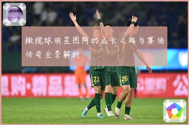 橄榄球明星图阿的成长之路与赛场传奇全景解析