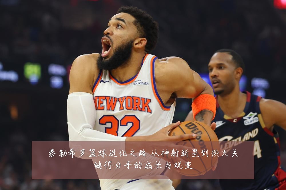 泰勒希罗篮球进化之路 从神射新星到热火关键得分手的成长与蜕变